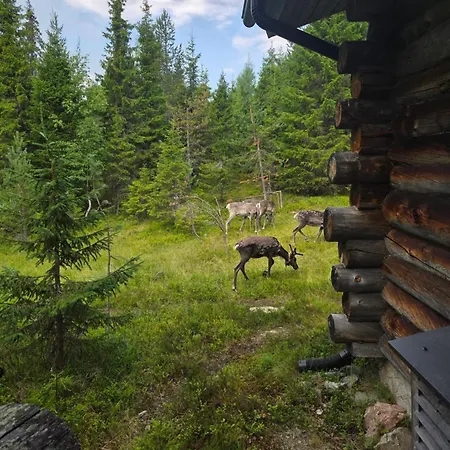 Kelo Naava Feriehus