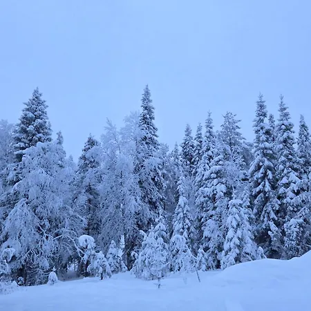 Kelo Naava Prázdninový dům Ruka