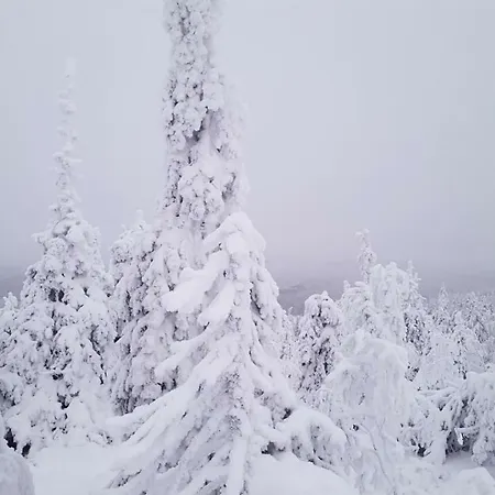 Feriehus Kelo Naava
